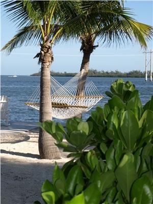 Banana Bay Resort (Adults Only) Key West Kültér fotó